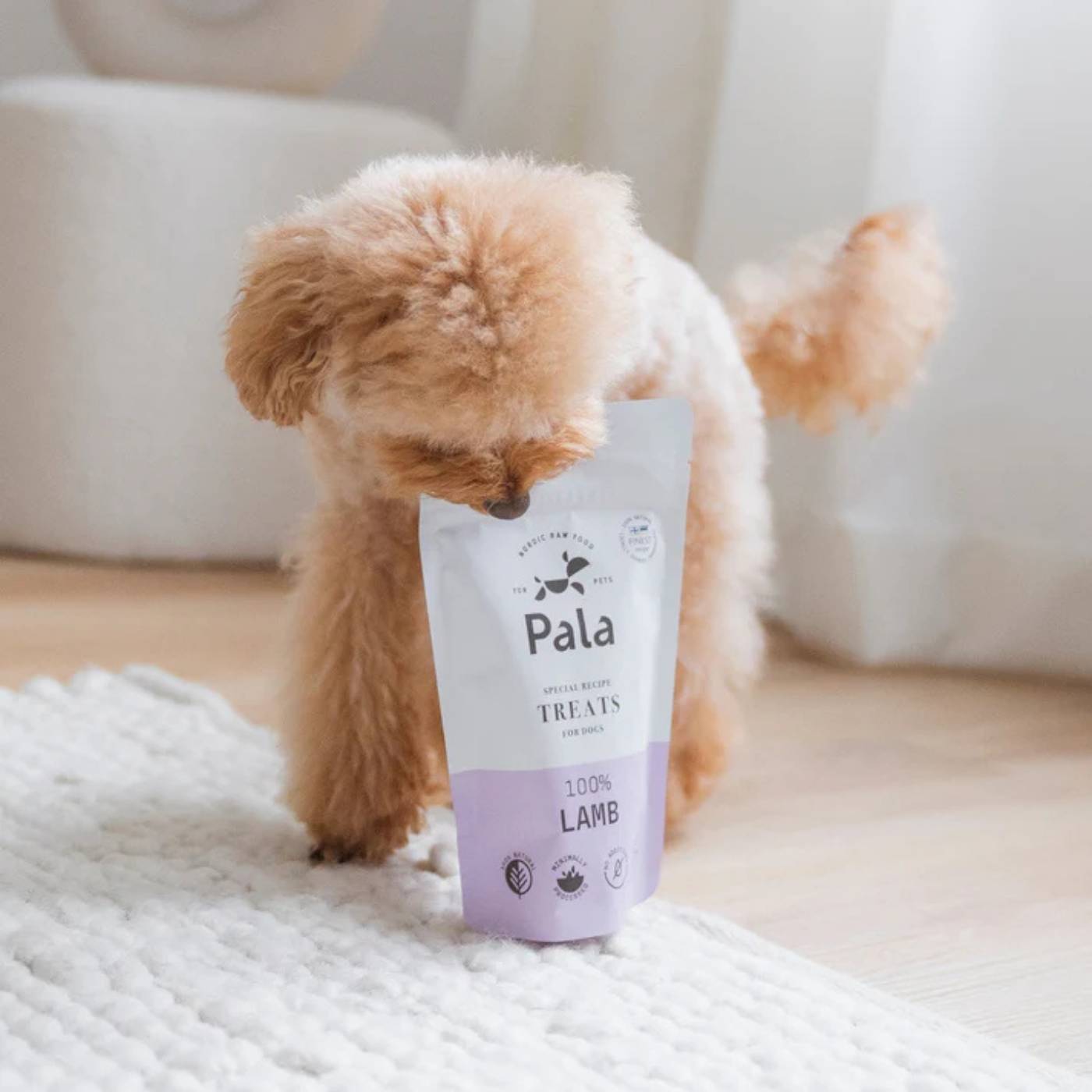 Pala Snack per Cani 100% Agnello Monoproteici 100 g