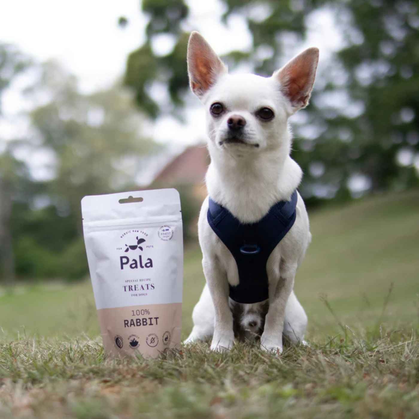 Pala Snack per Cani 100% Coniglio Monoproteici 100 g