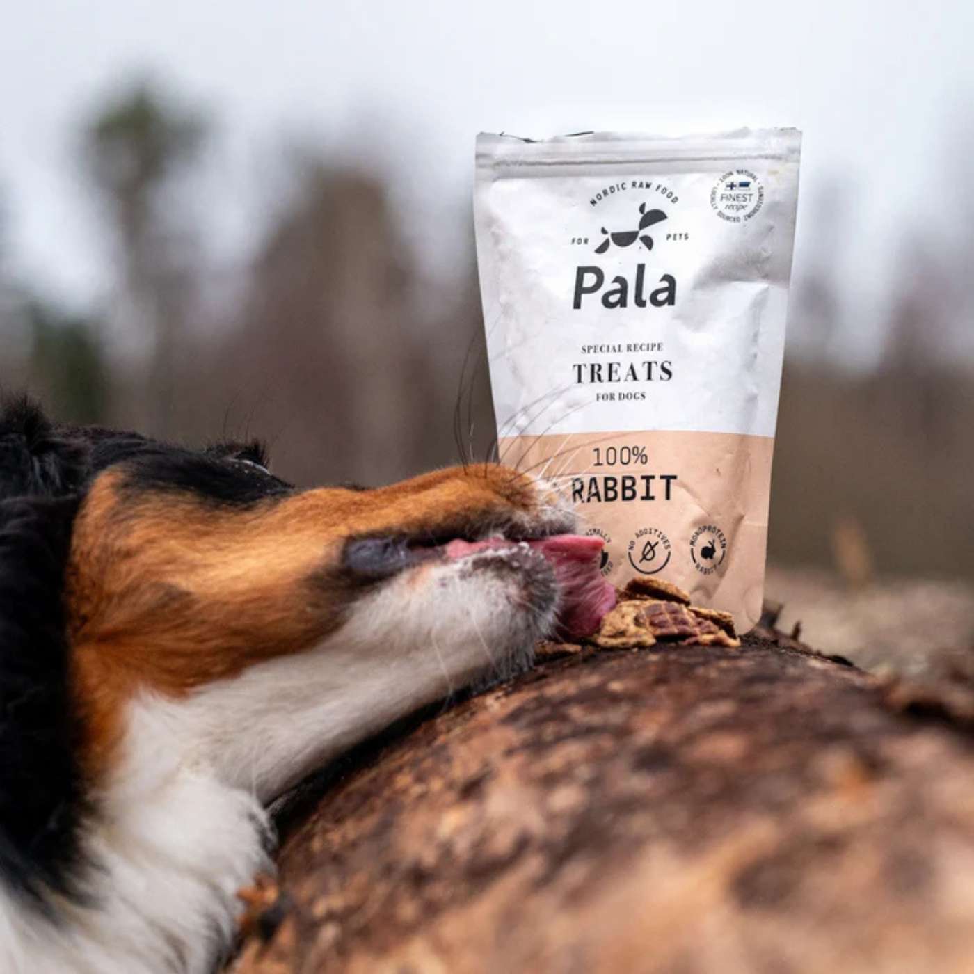 Pala Snack per Cani 100% Coniglio Monoproteici 100 g