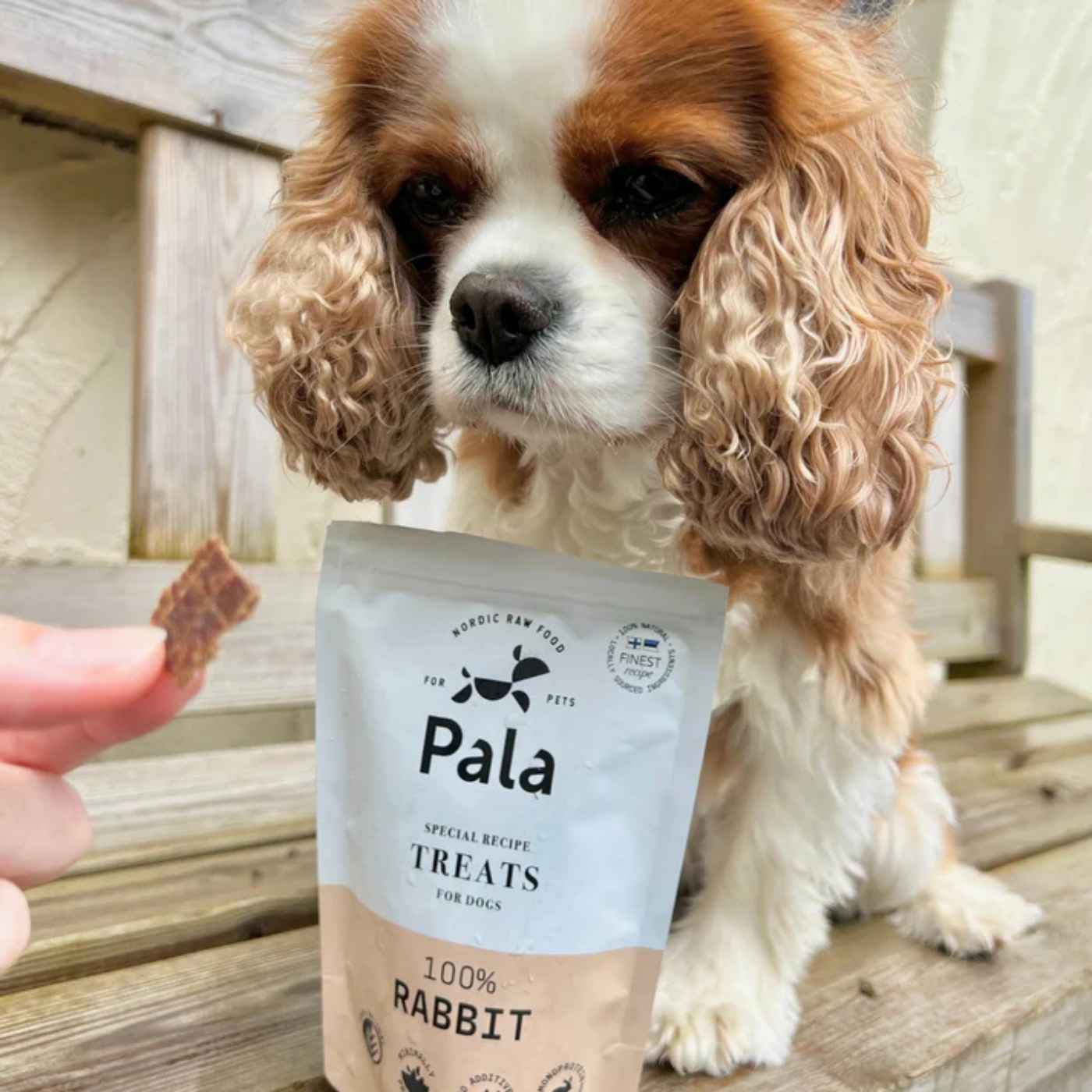 Pala Snack per Cani 100% Coniglio Monoproteici 100 g