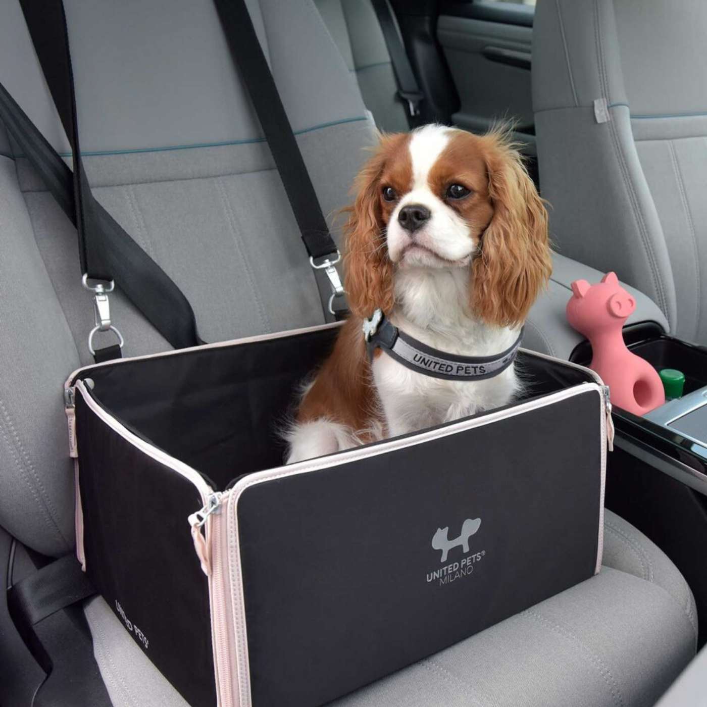 United Pets® Seggiolino per Automobile per Cani 0 - 15 Kg Car Box ECO Urban Pet 0 - 15 Kg