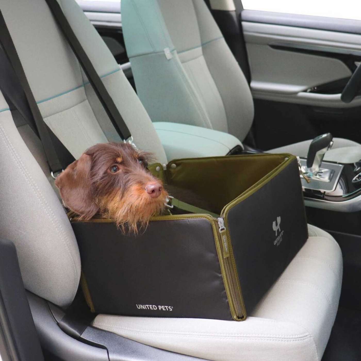 United Pets® Seggiolino per Automobile per Cani 0 - 15 Kg Car Box ECO Urban Pet 0 - 15 Kg