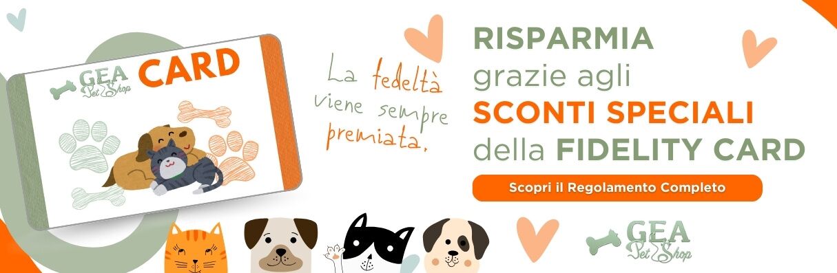 homepage banner