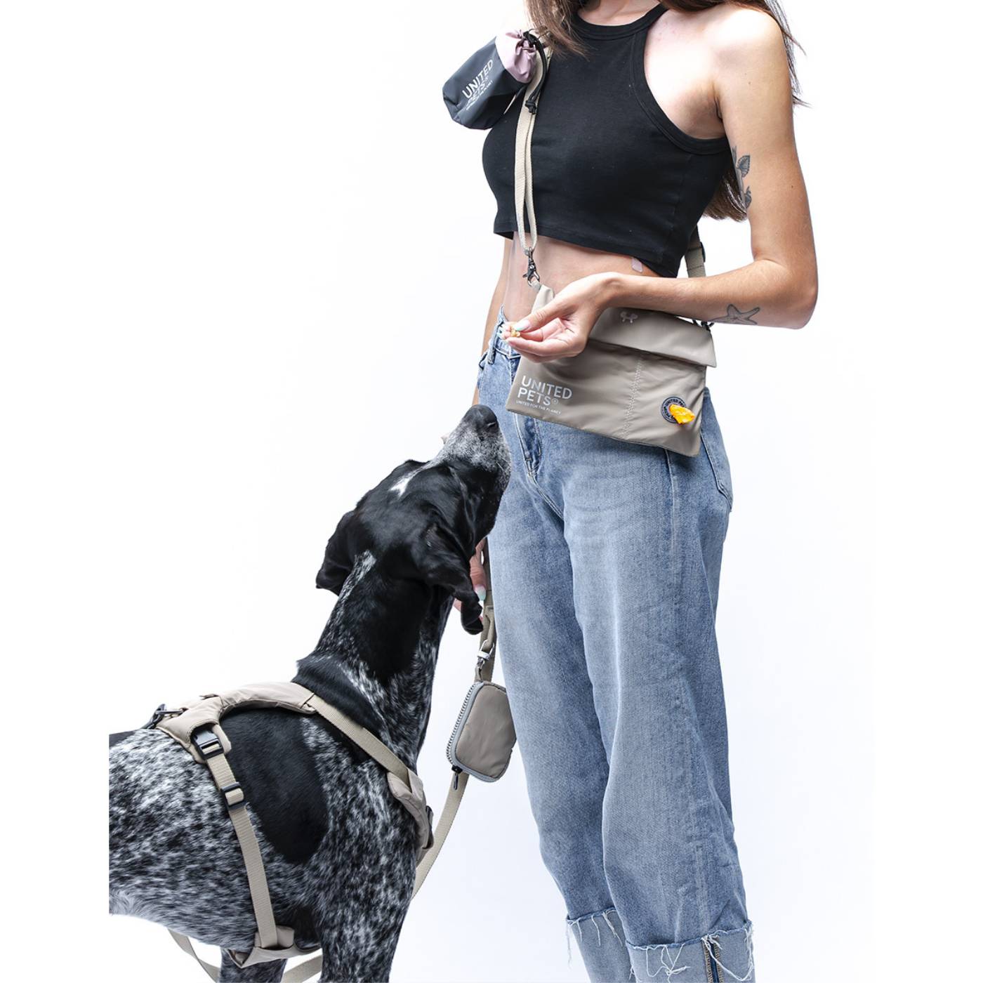 United Pets® Pochette con Tracolla Linea CityLife Beige
