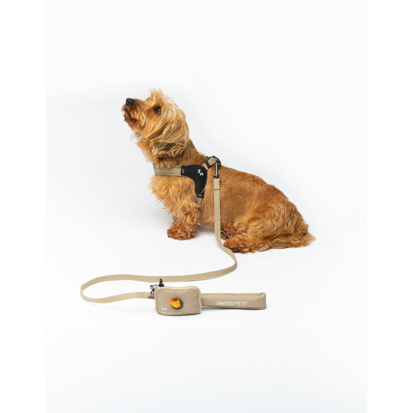 United Pets® Pettorina per Cani Aggancio Rapido Linea CityLife Beige