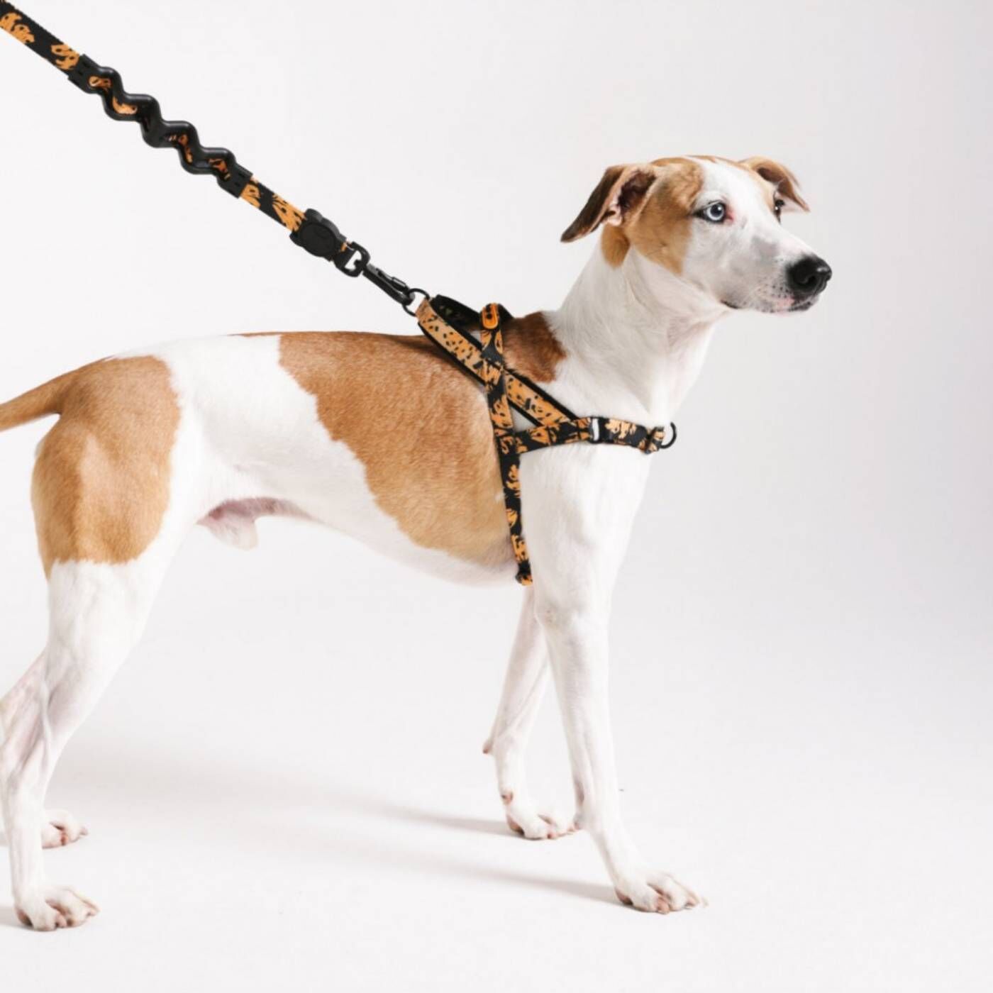Zee.Dog Pettorina Norvegese Softer-Walk per Cani Farm Rio Bossa Banana