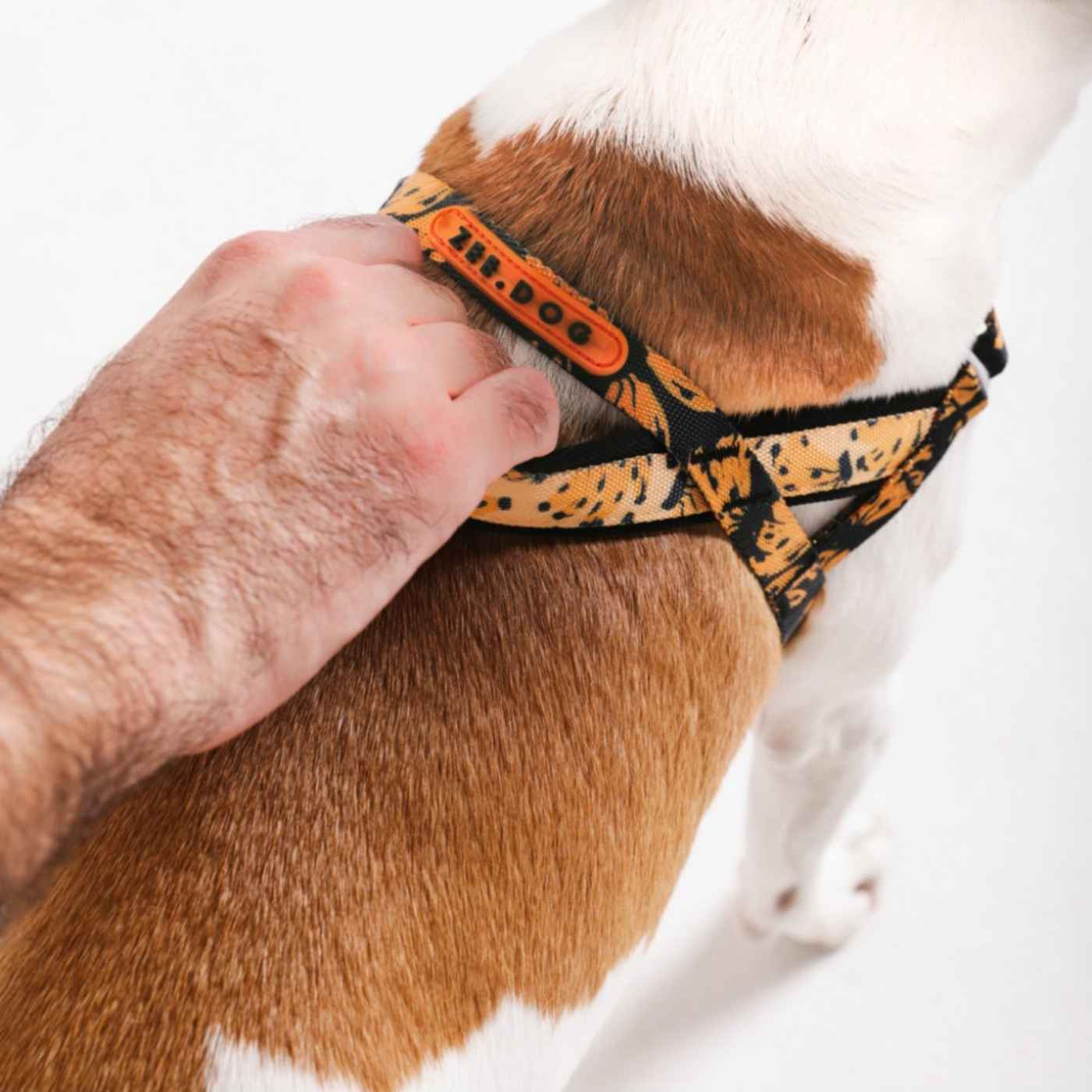 Zee.Dog Pettorina Norvegese Softer-Walk per Cani Farm Rio Bossa Banana