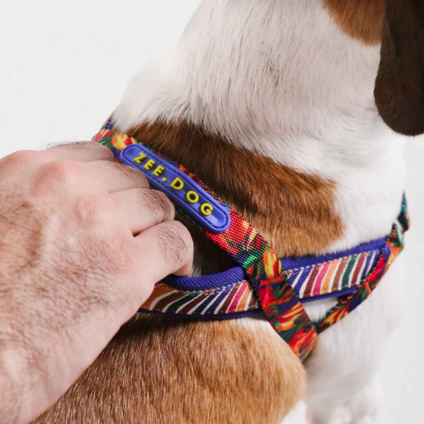 Zee.Dog Pettorina Norvegese Softer-Walk per Cani Farm Rio Samba