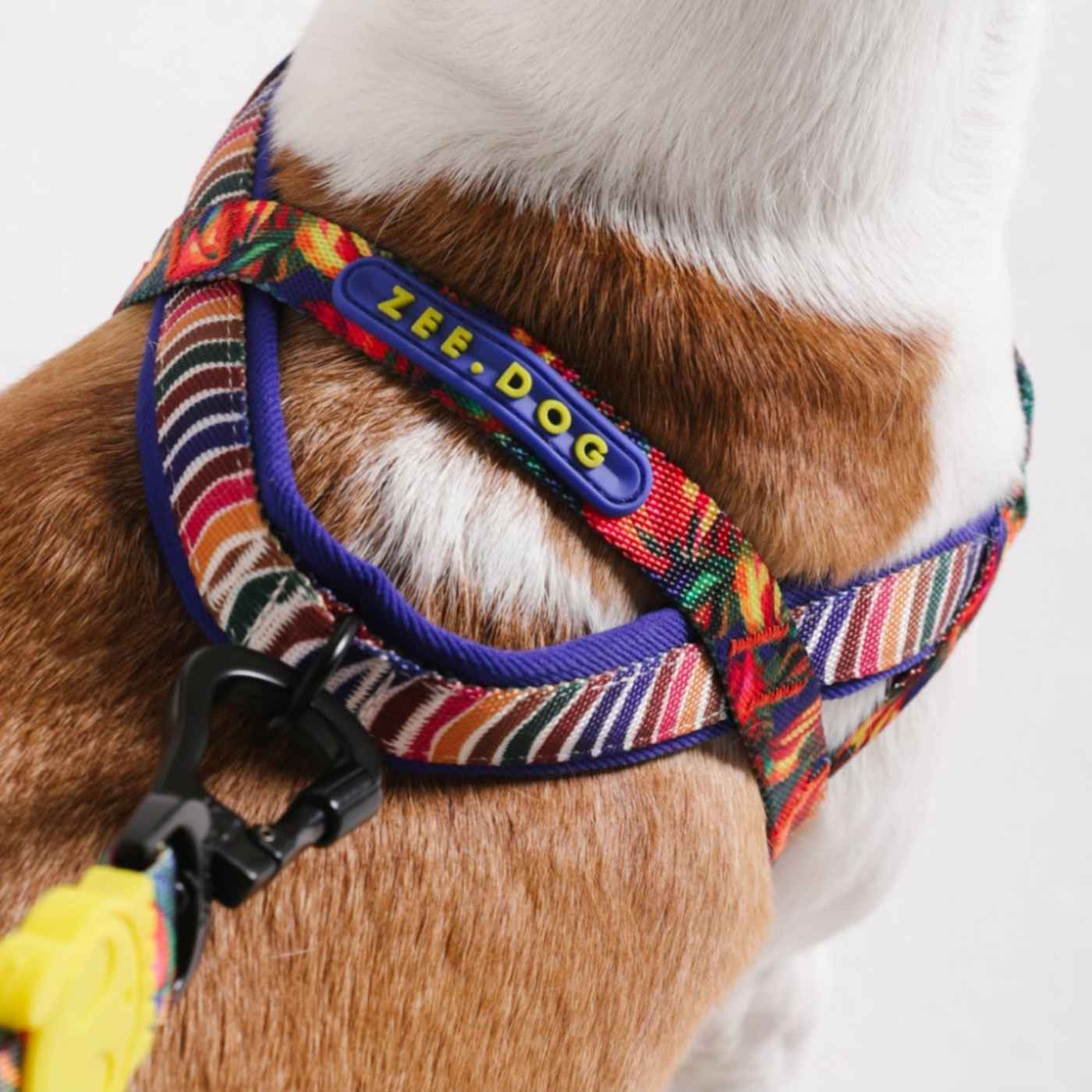 Zee.Dog Pettorina Norvegese Softer-Walk per Cani Farm Rio Samba