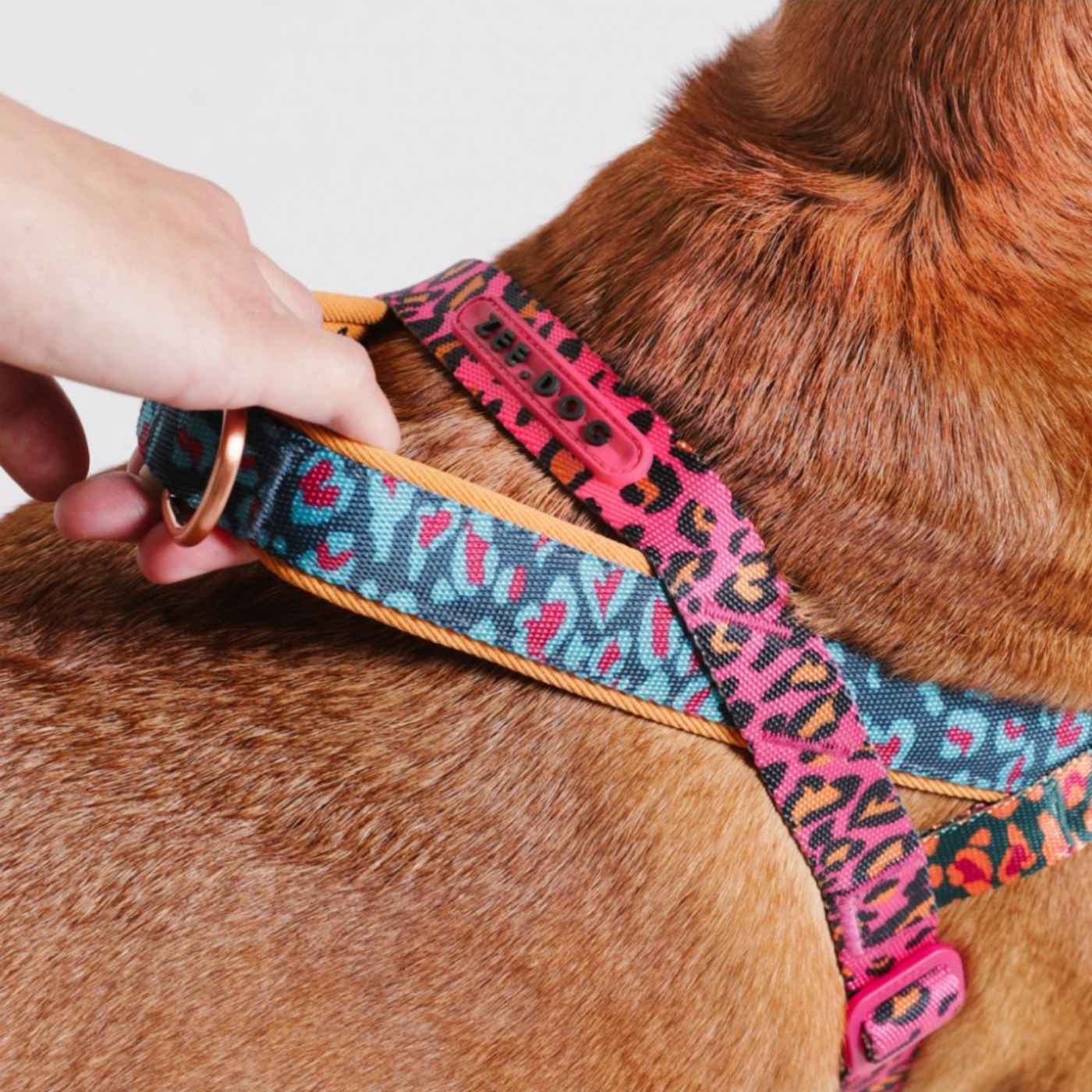 Zee.Dog Pettorina Norvegese Softer-Walk per Cani Farm Rio Selva