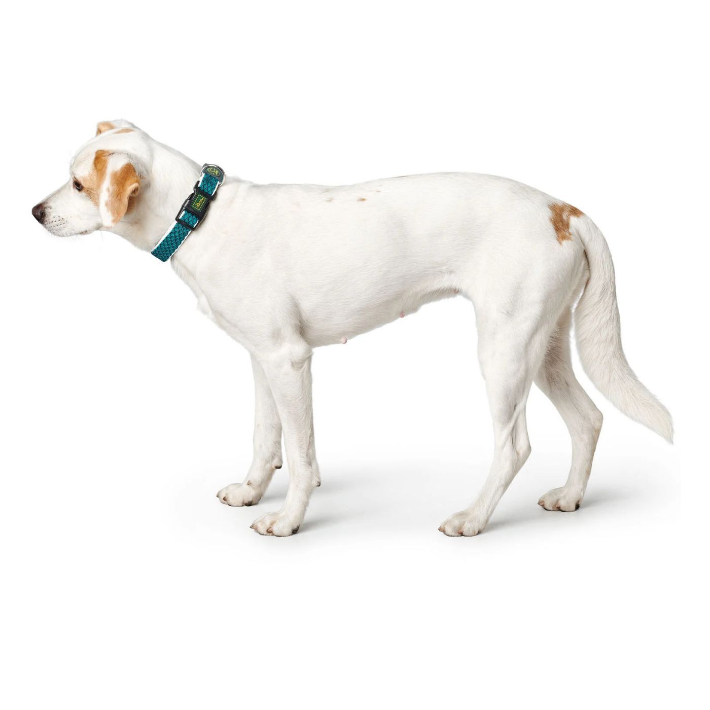 Hunter Collare per Cani Regolabile Hilo Vario Turchese Riflettente