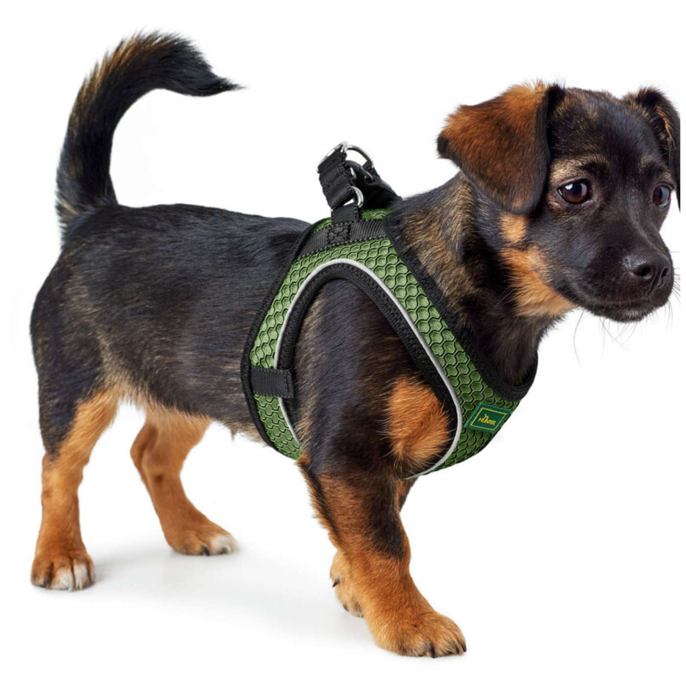 Hunter Pettorina per Cani Hilo Comfort Verde Chiaro Riflettente