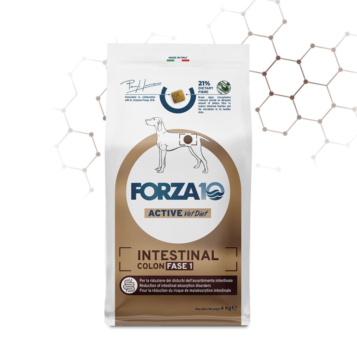 Forza 10 Intestinal Colon Fase 1 Pesce per Cani Adulti