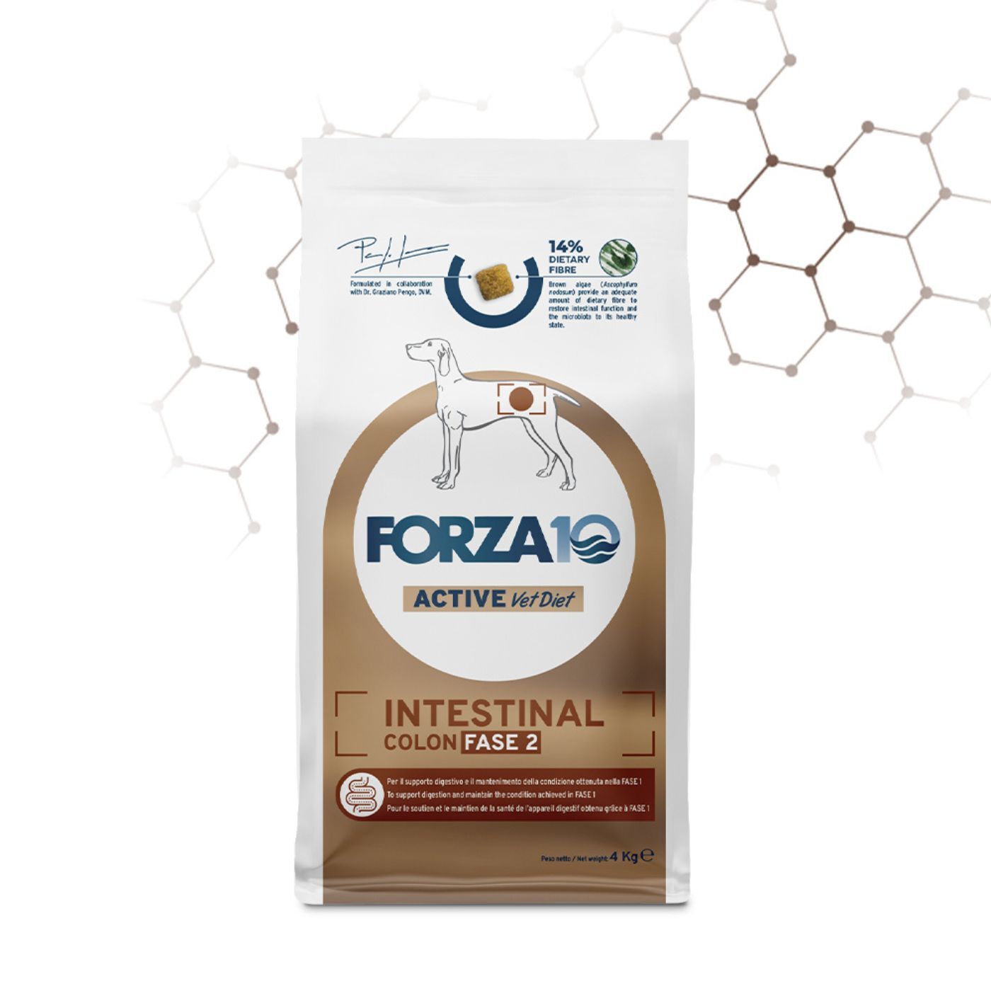 Forza 10 Intestinal Colon Fase 2 Active Pesce per Cani Adulti