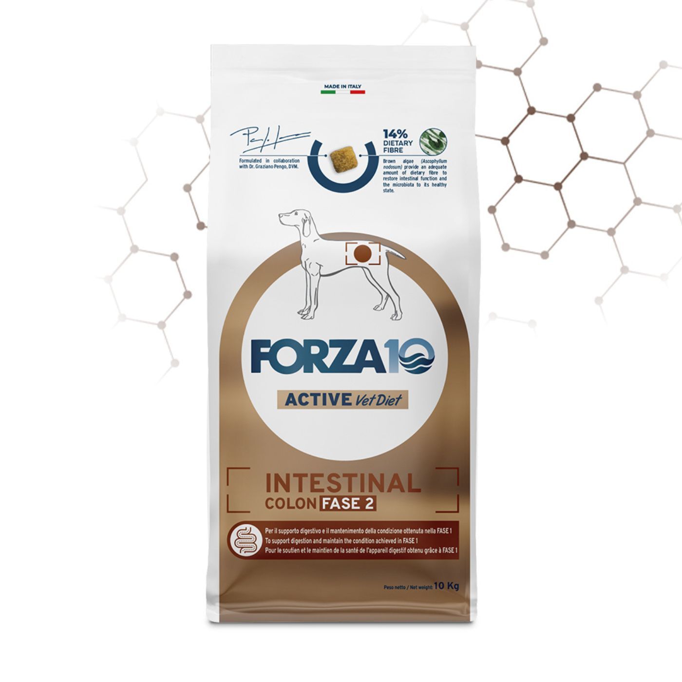 Forza 10 Intestinal Colon Fase 2 Active Pesce per Cani Adulti