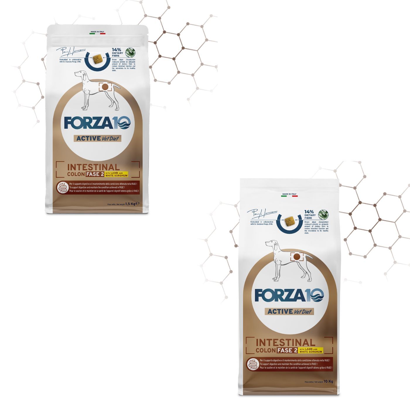 Forza 10 Intestinal Colon Fase 2 Agnello e Sorgo Bianco per Cani Adulti
