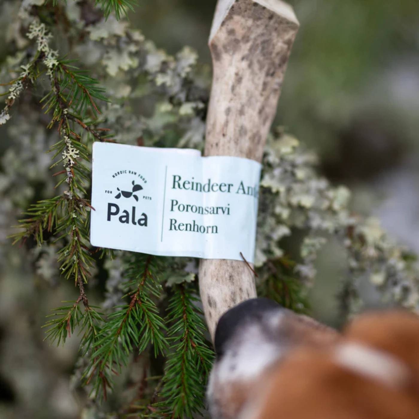 17533.jpg