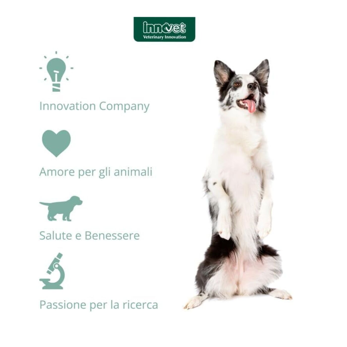 Condrogen Adult & Sport per Cani Stick Innovet