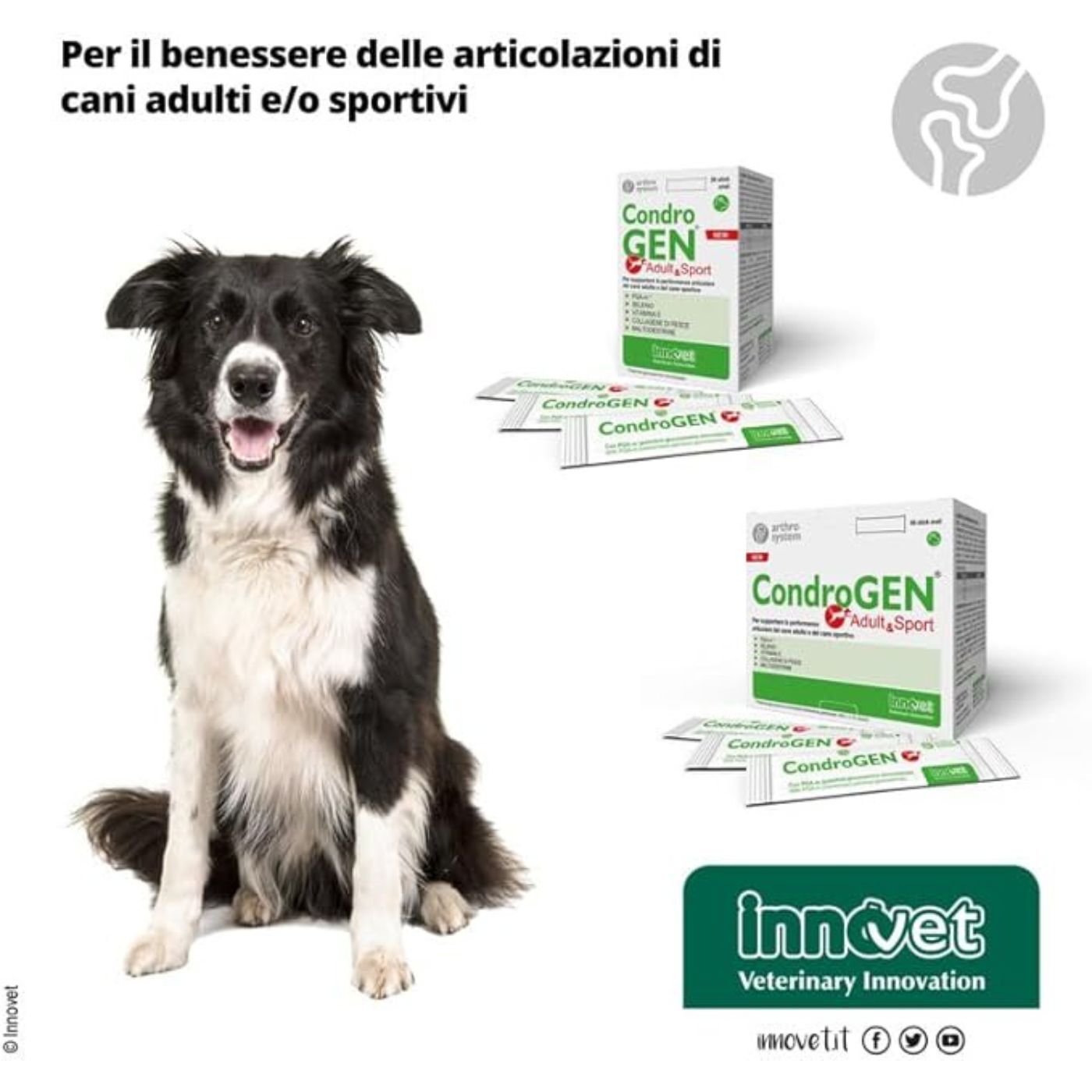 Condrogen Adult & Sport per Cani Stick Innovet