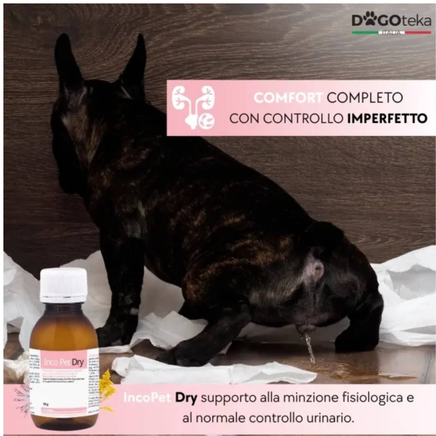 Dogoteka IncoPet Dry 50 gr