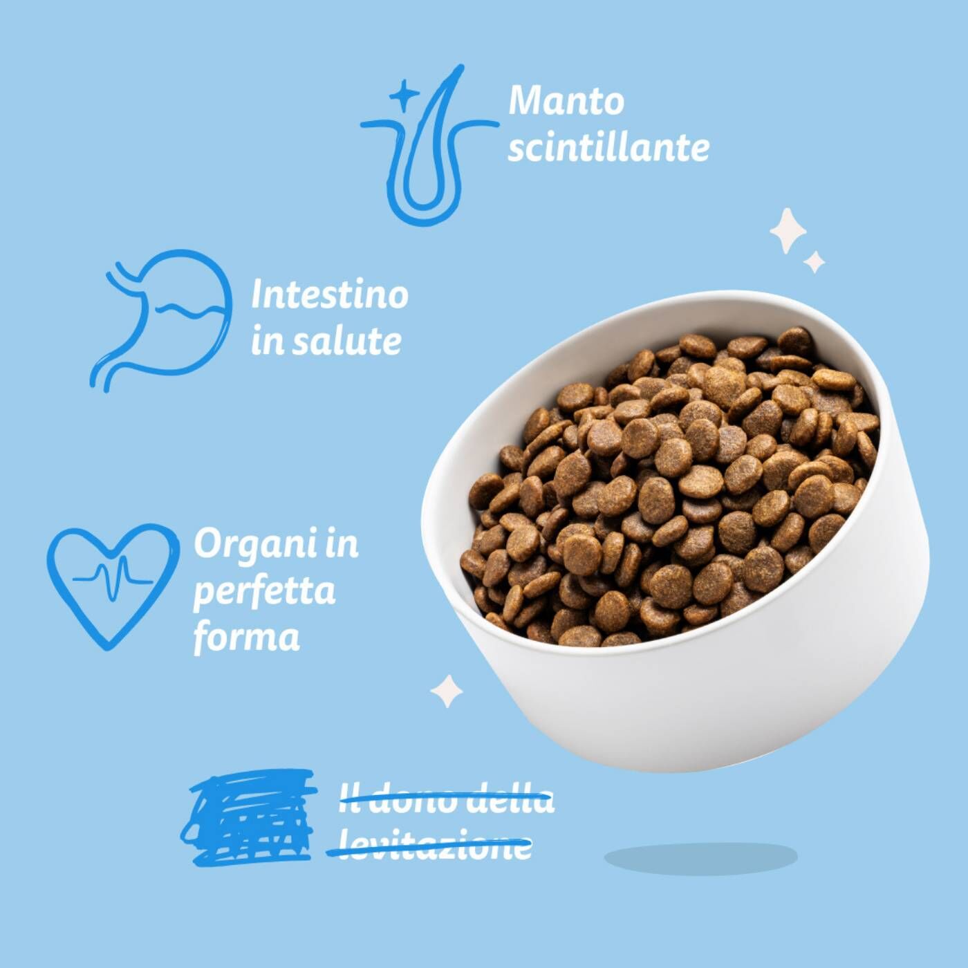 Edgard & Cooper Salmone Norvegese per Cani Adulti