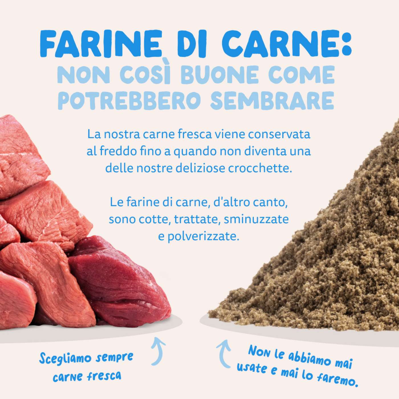 Edgard & Cooper Salmone Norvegese per Cani Adulti