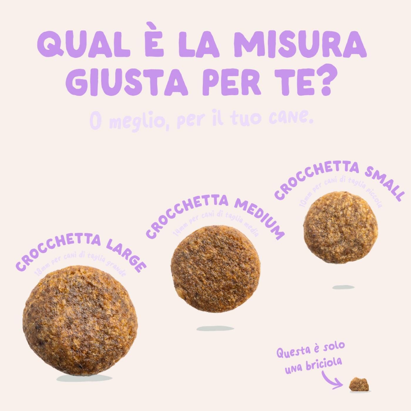 Edgard & Cooper Anatra Monoproteico per Cani Adulti