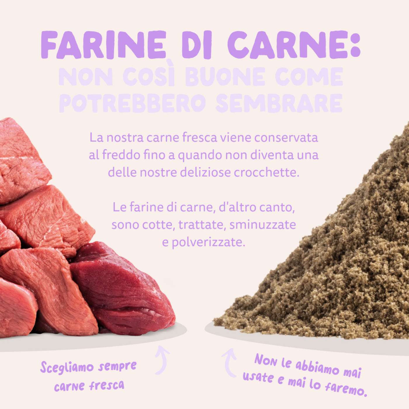 Edgard & Cooper Anatra Monoproteico per Cani Adulti