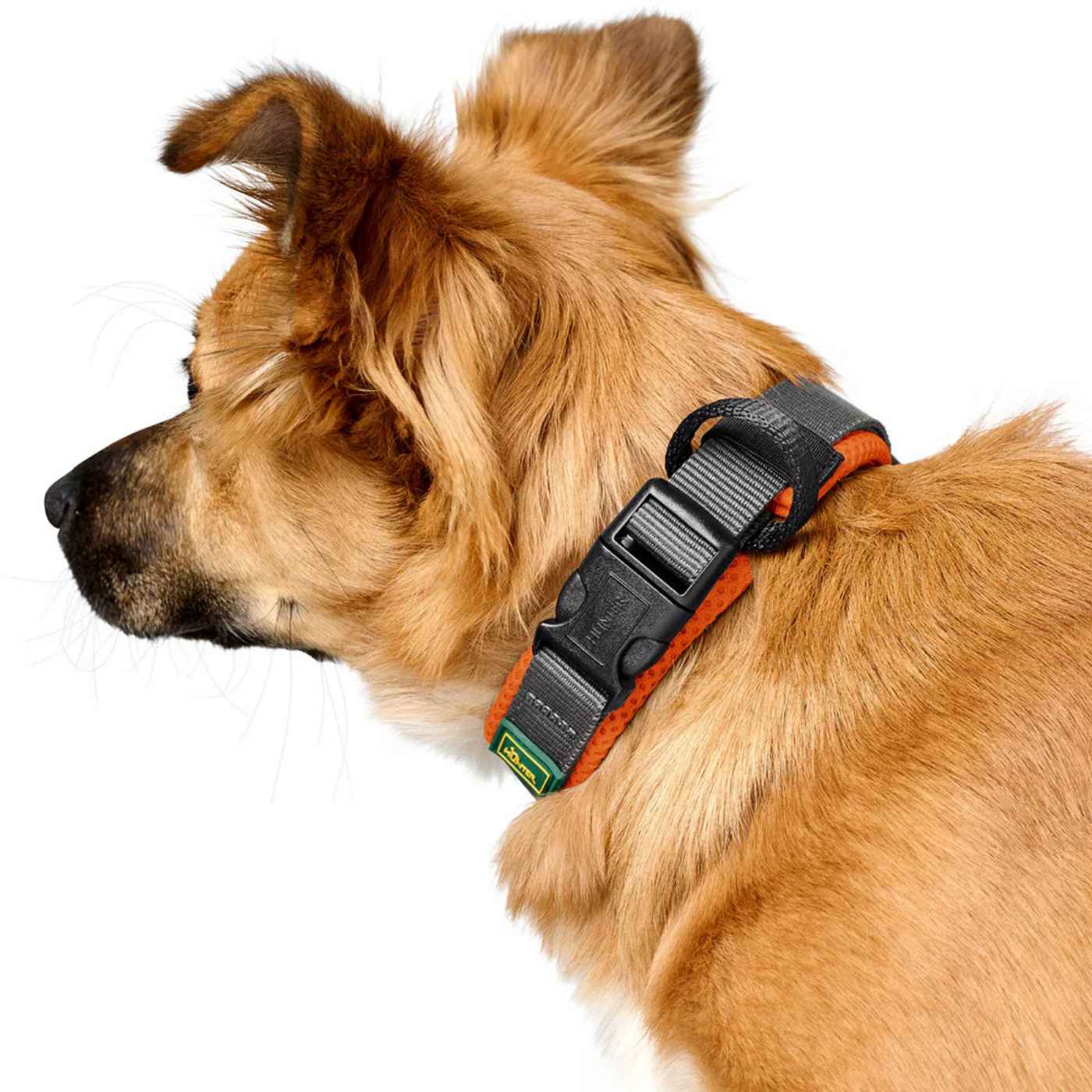 Hunter Collare per Cani Regolabile Maldon Arancione/Grigio Riflettente