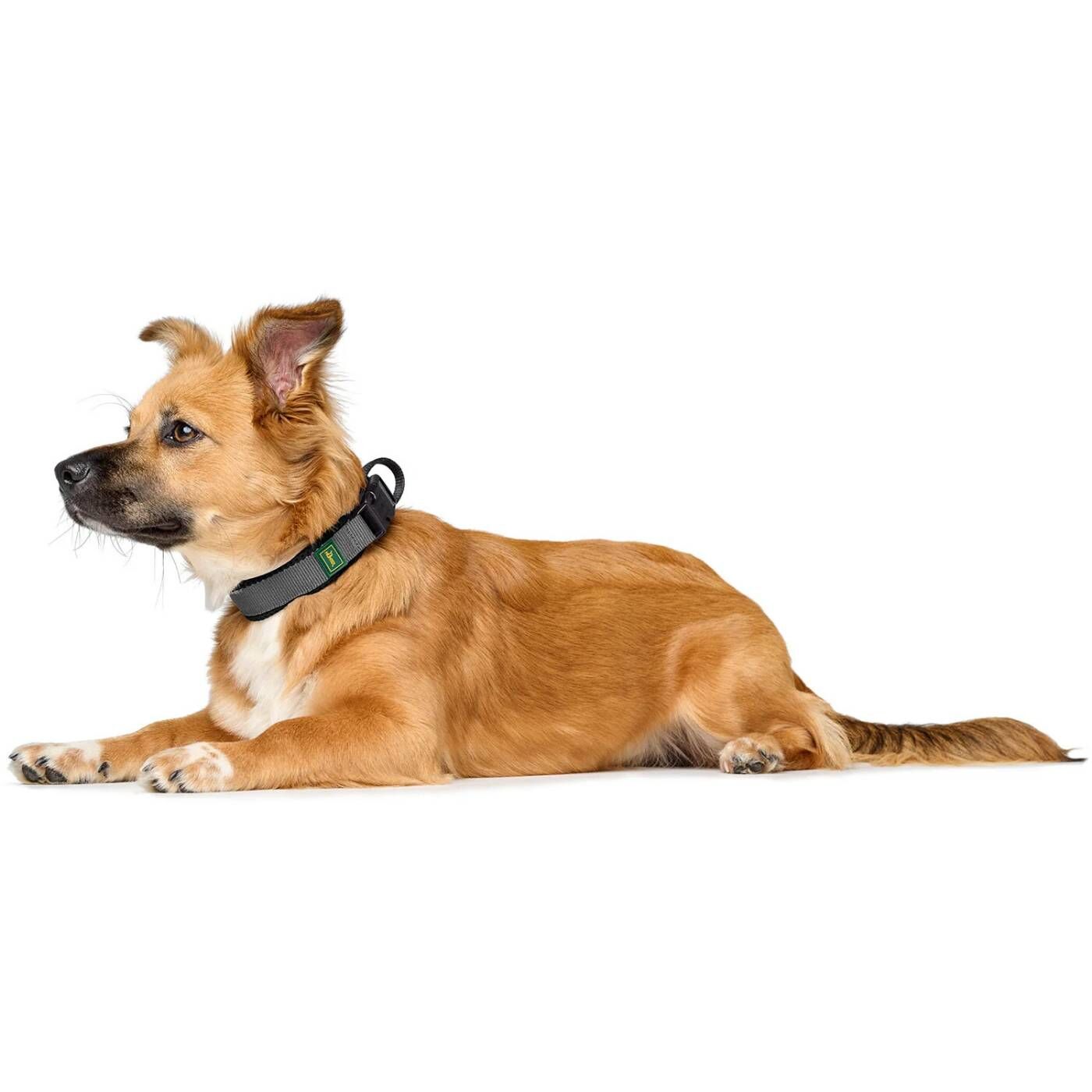 Hunter Collare per Cani Regolabile Maldon Nero/Grigio Riflettente