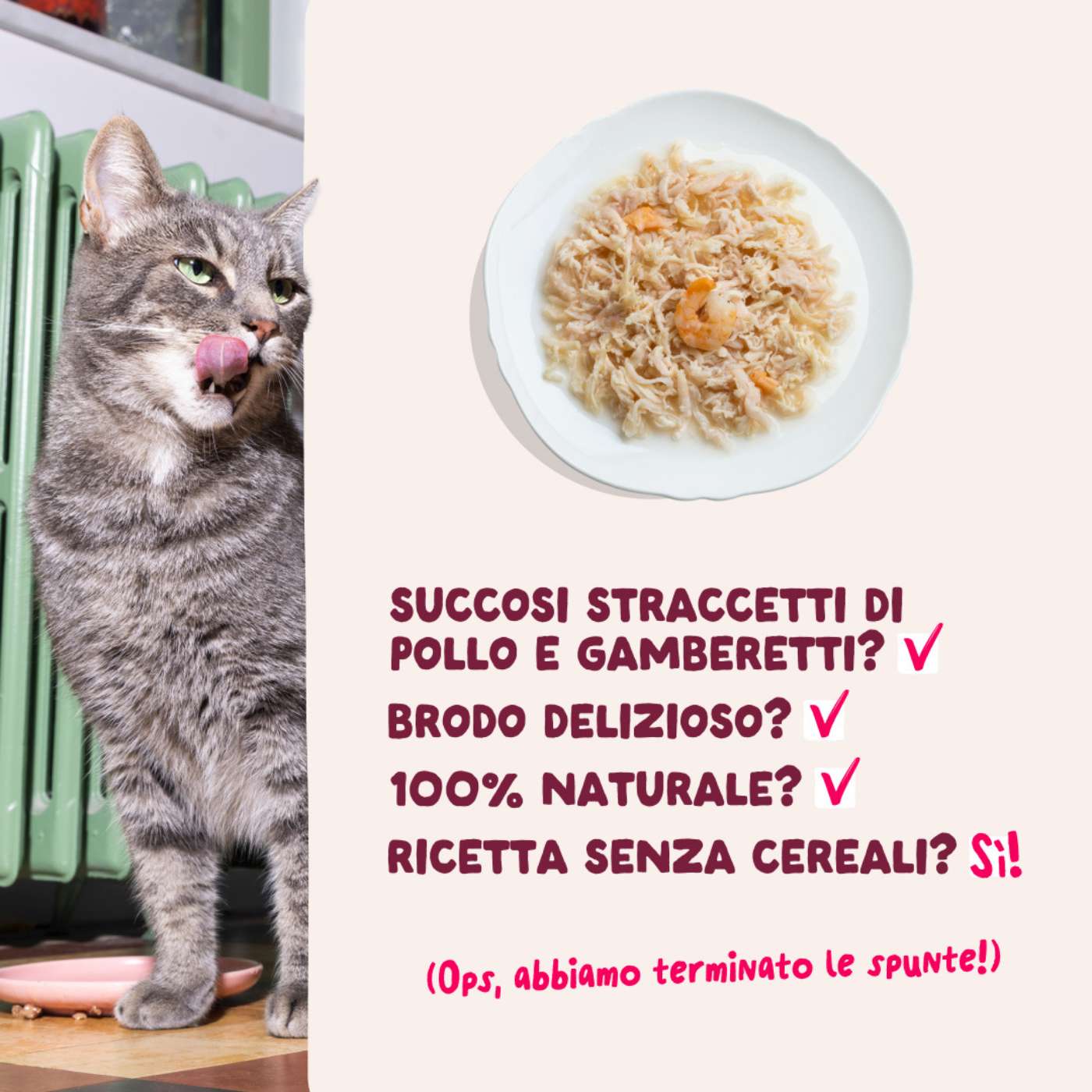 Edgard & Cooper Sfilaccetti per Gatti Adulti Pollo con Gamberetti in Brodo di Pollo 70 Gr.