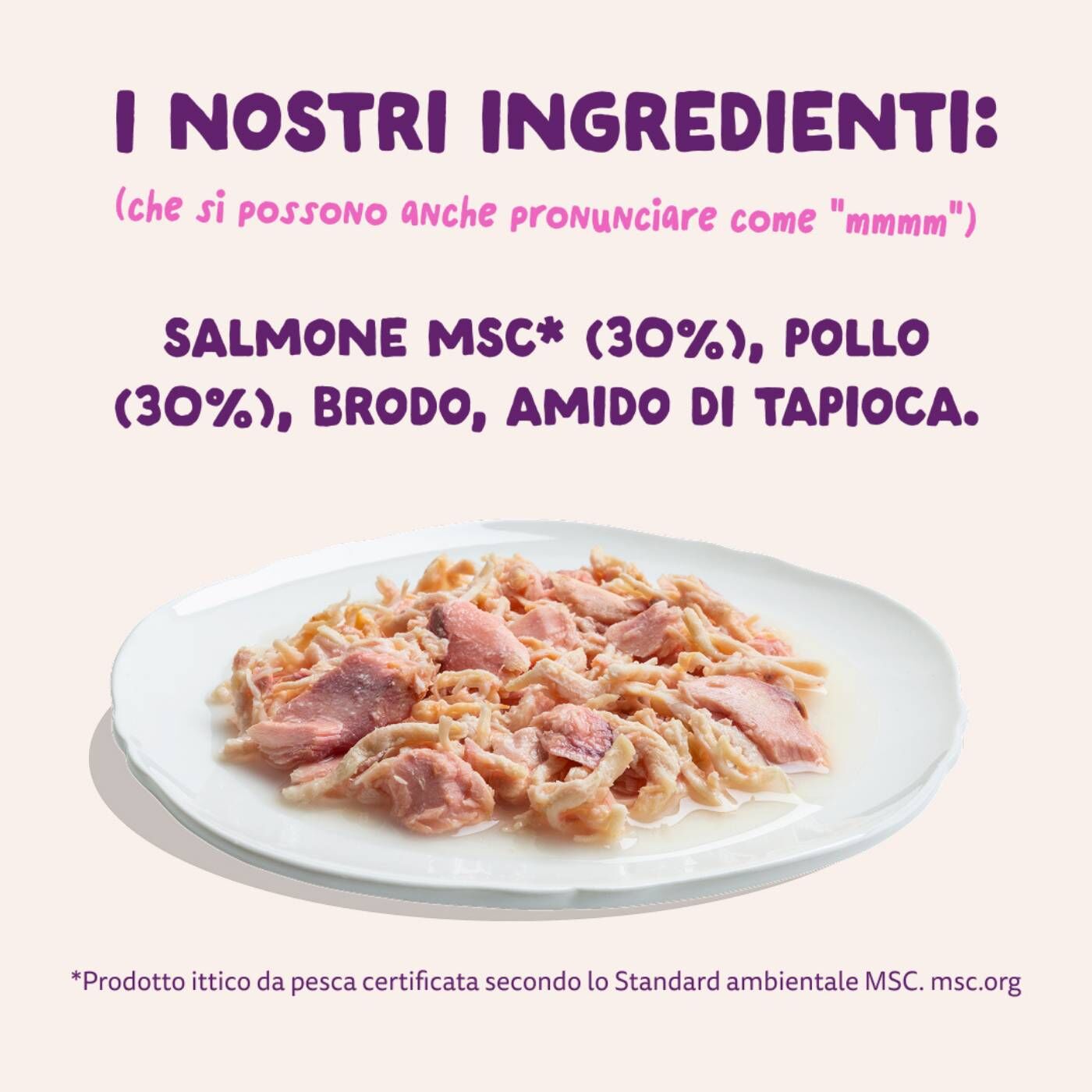 Edgard & Cooper Sfilaccetti per Gatti Adulti Salmone con Pollo in Brodo 70 g
