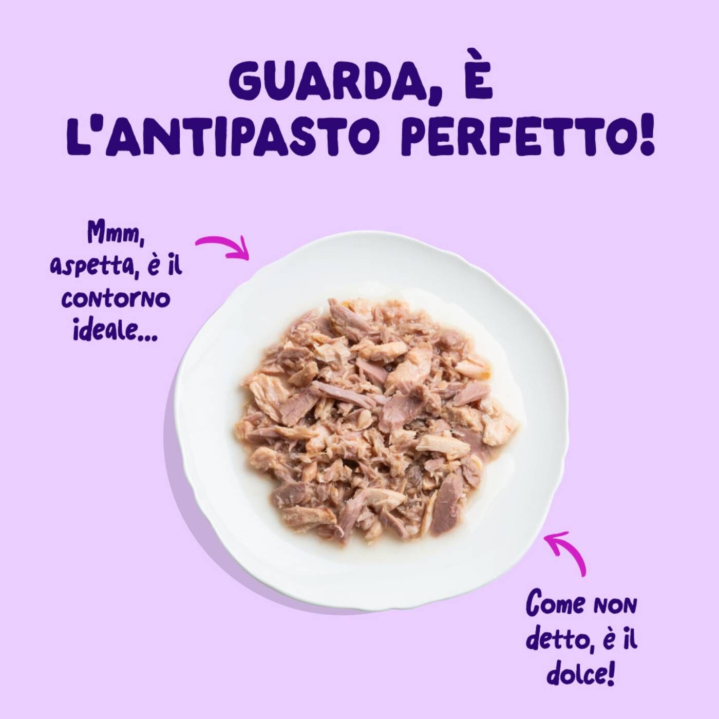 Edgard & Cooper Sfilaccetti per Gatti Adulti Salmone con Tonno in Brodo di Pesce 70 g