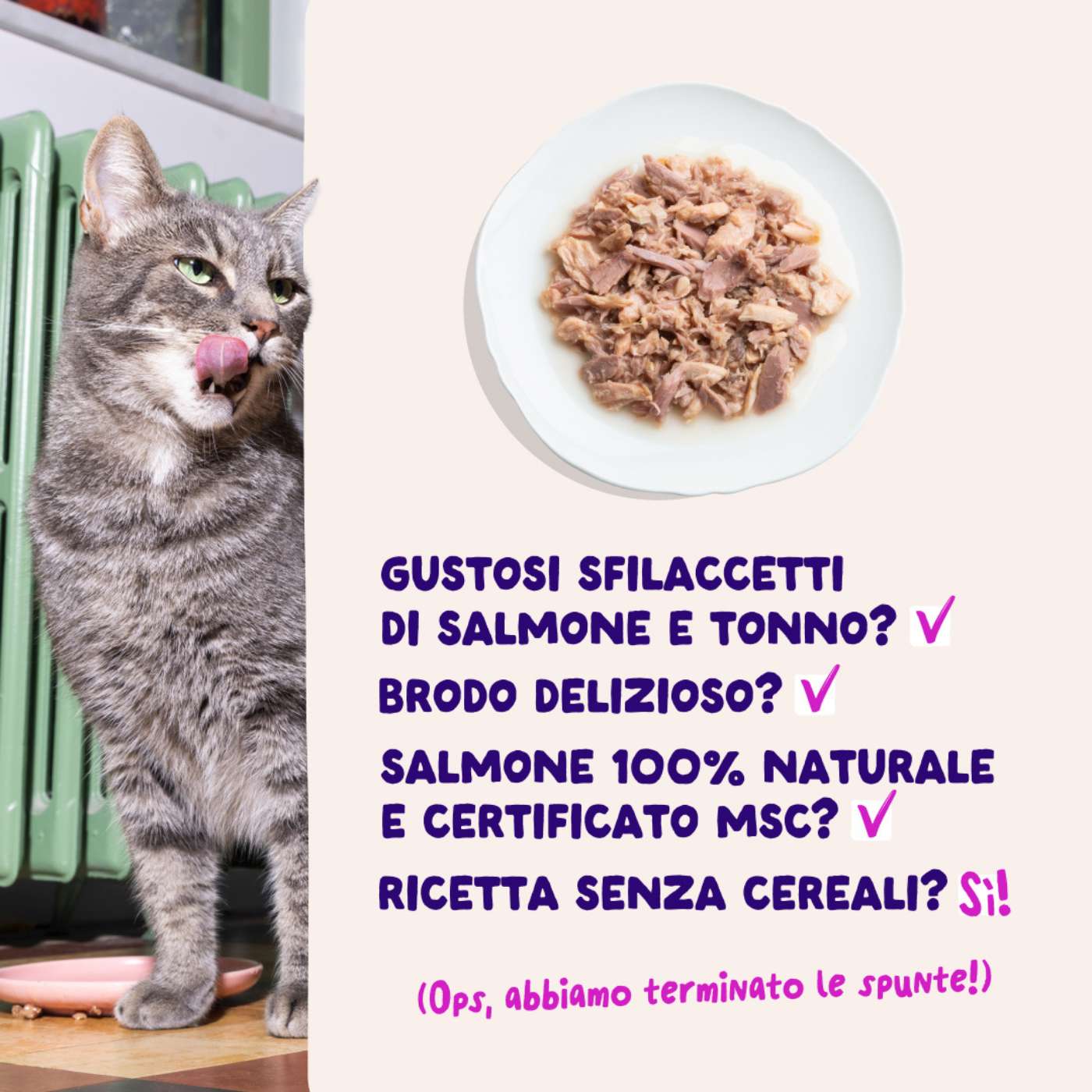 Edgard & Cooper Sfilaccetti per Gatti Adulti Salmone con Tonno in Brodo di Pesce 70 g