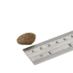 Fish4Dogs Finest Ocean White Fish Adult Regular - Misura crocchette