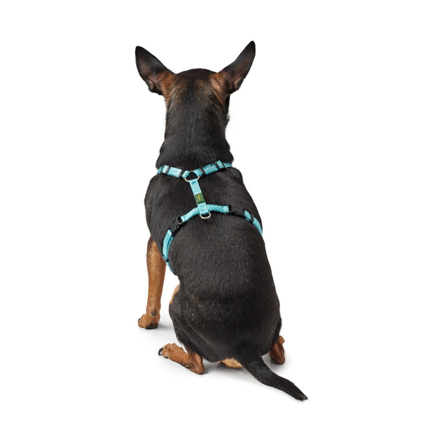 Hunter Pettorina Tripoli in Nylon per Cani Azzurro - Vestibilità 2