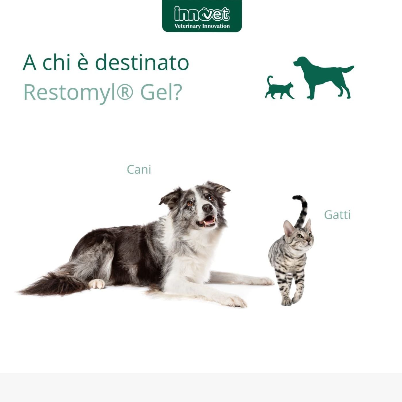 Innovet Restomyl® Gel 30 ml per Cani e Gatti