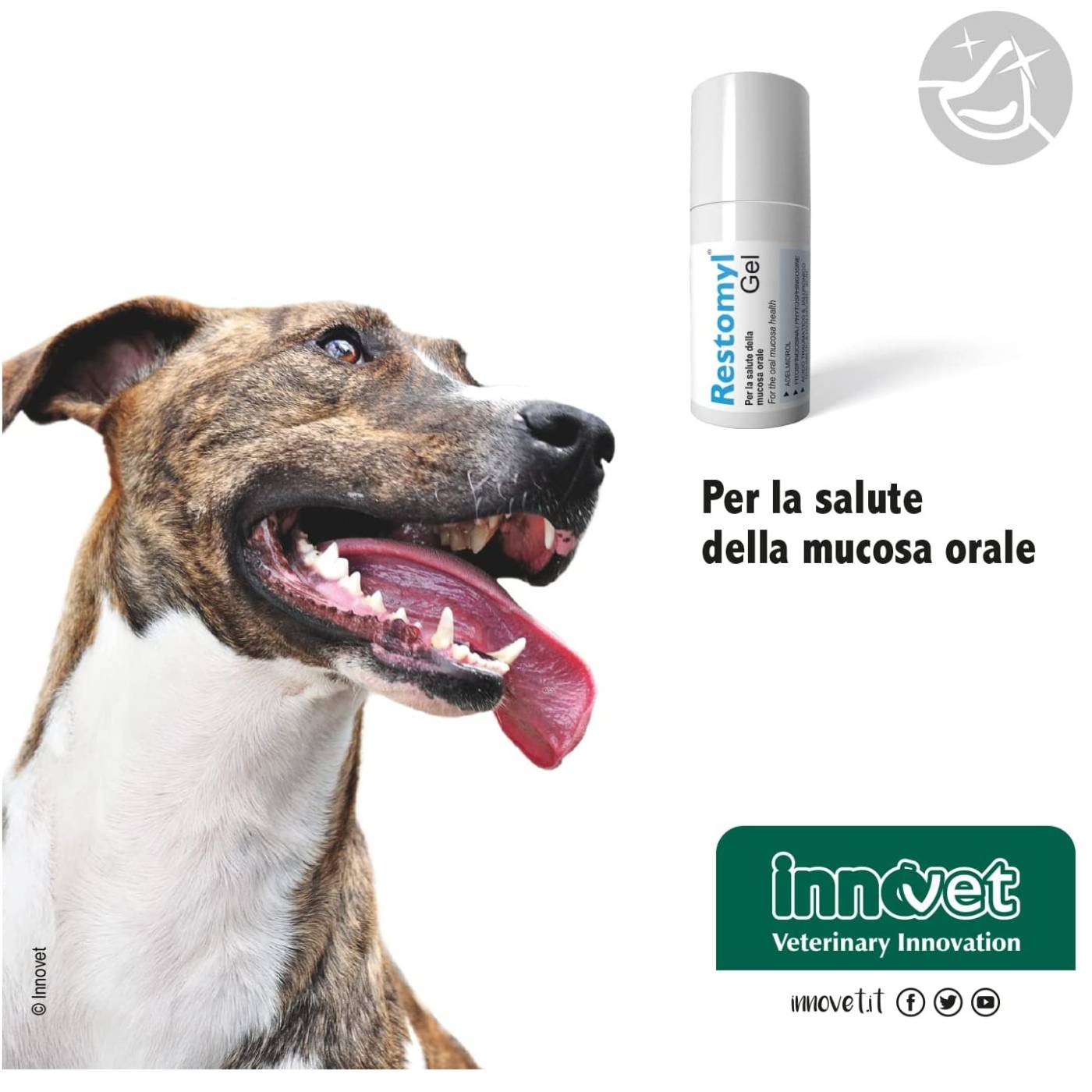 Innovet Restomyl® Gel 30 ml per Cani e Gatti