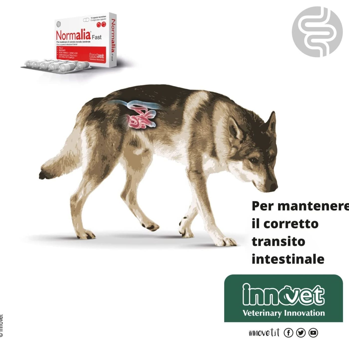 Innovet Normalia® Fast Integratore per Cani e Gatti