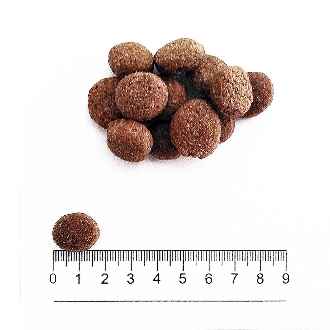 Prolife® Sterilised Sensitive Adult Medium/Large Maiale e Riso per Cani - Forma e Dimensione Crocchetta