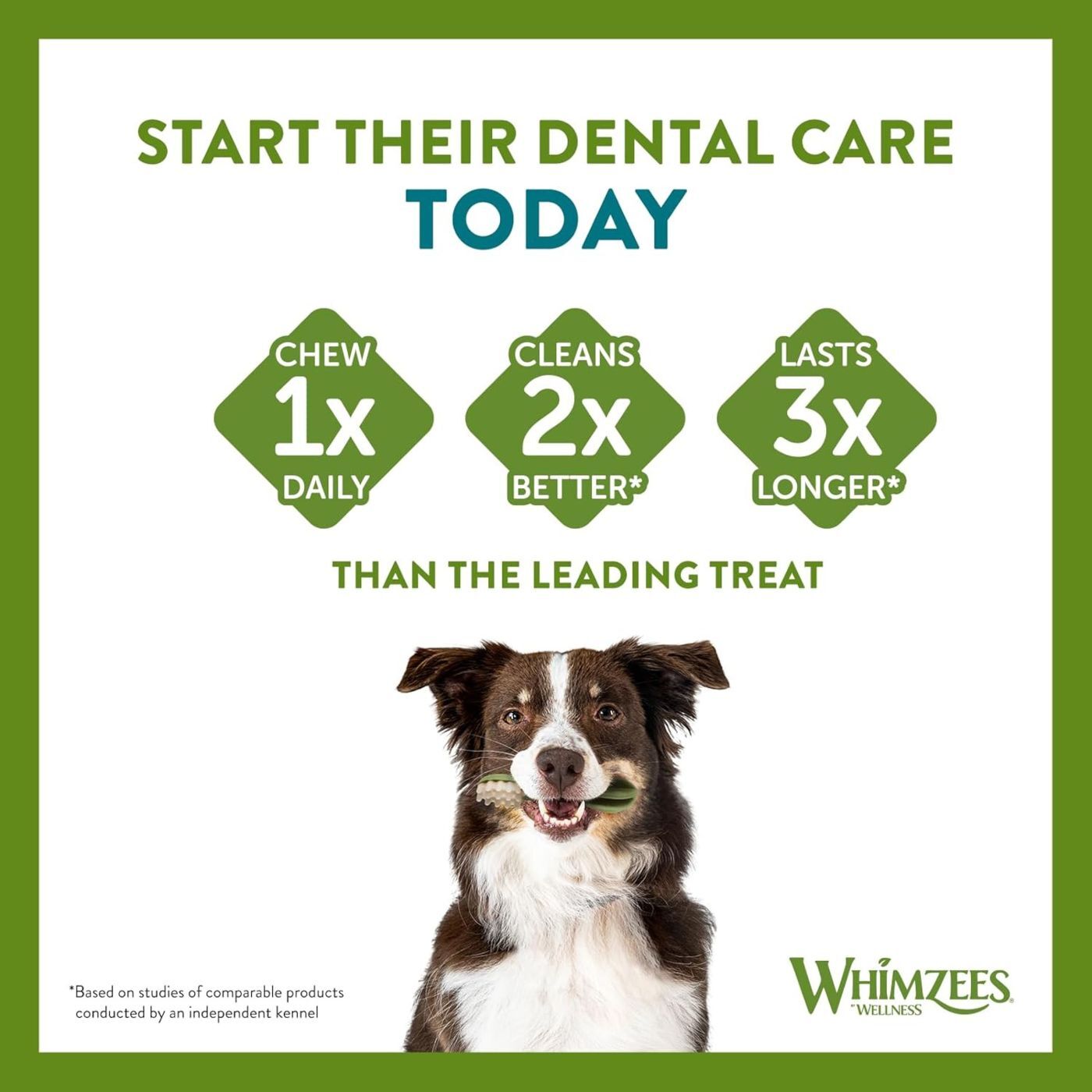 Whimzees Snack Dentale Naturale Stix per Cani