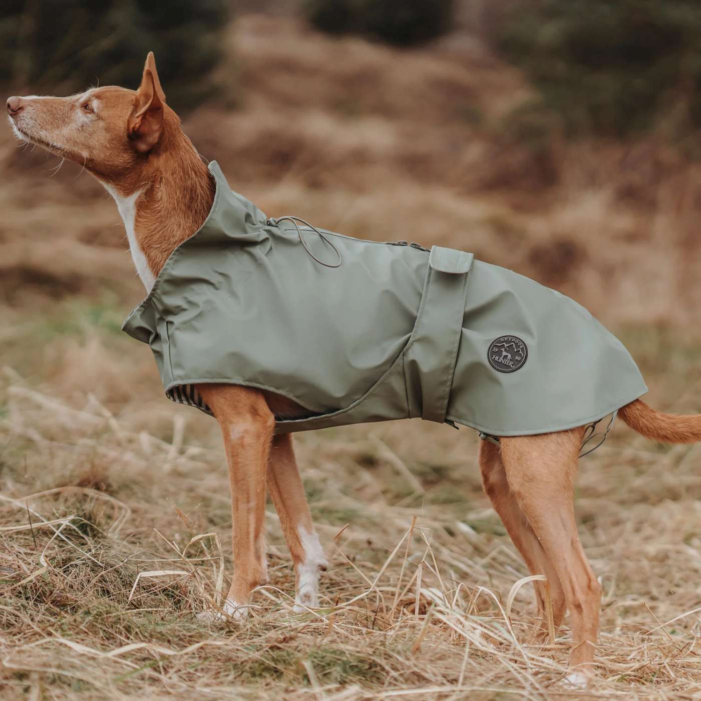 Hunter Impermeabile per Cani Milford Verde