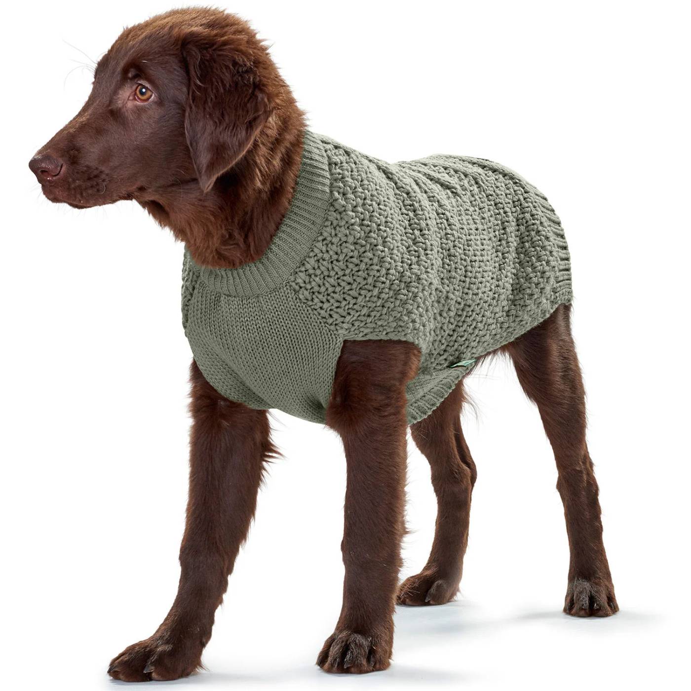Hunter Maglioncino Pullover per Cani MALMÖ Khaki Verde