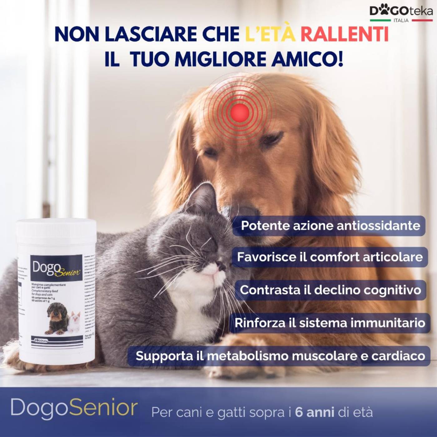 Dogoteka DogoSenior® per Cani e Gatti 60 Compresse