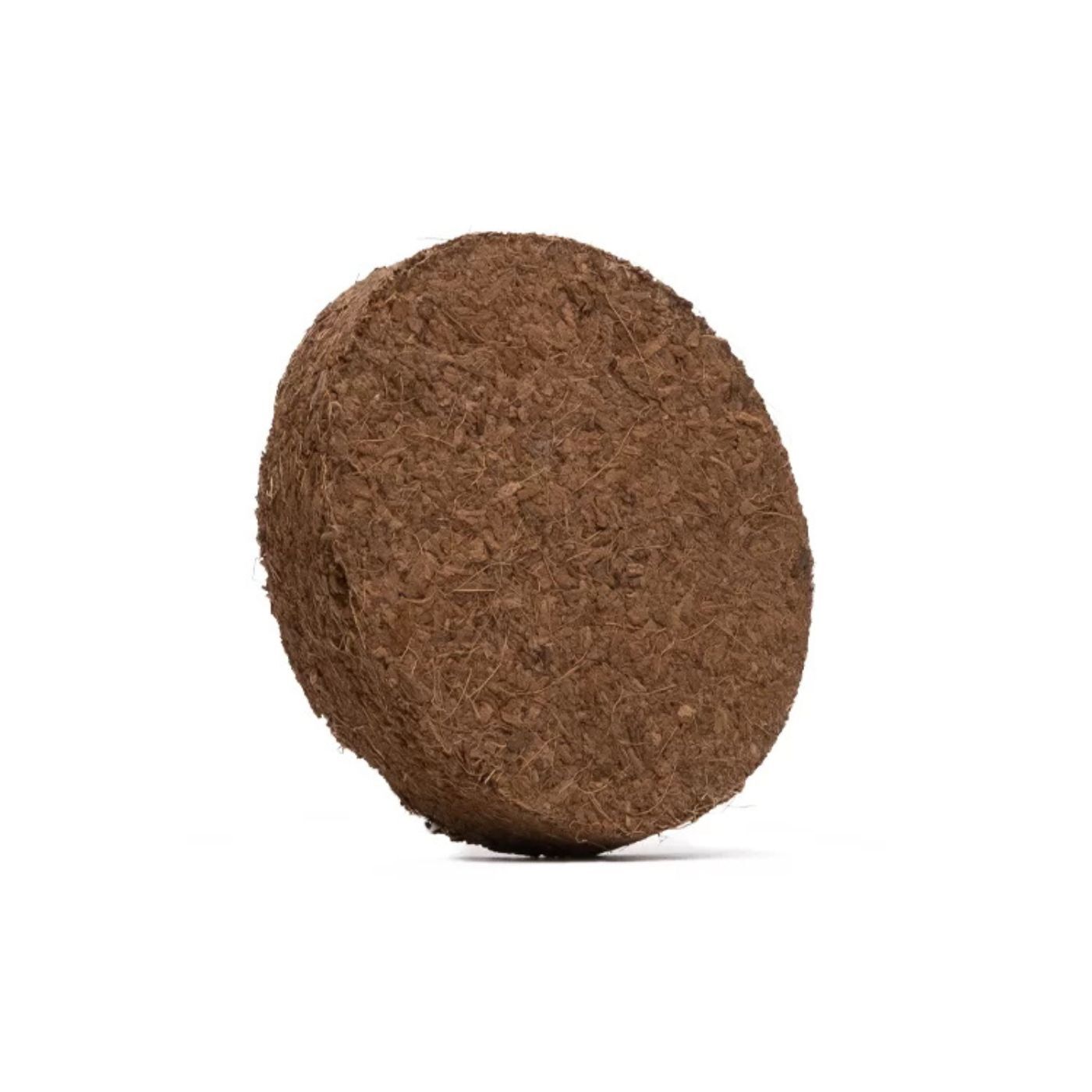 Erba Piu' Cococat Terriccio e Semi di Erba per Gatti