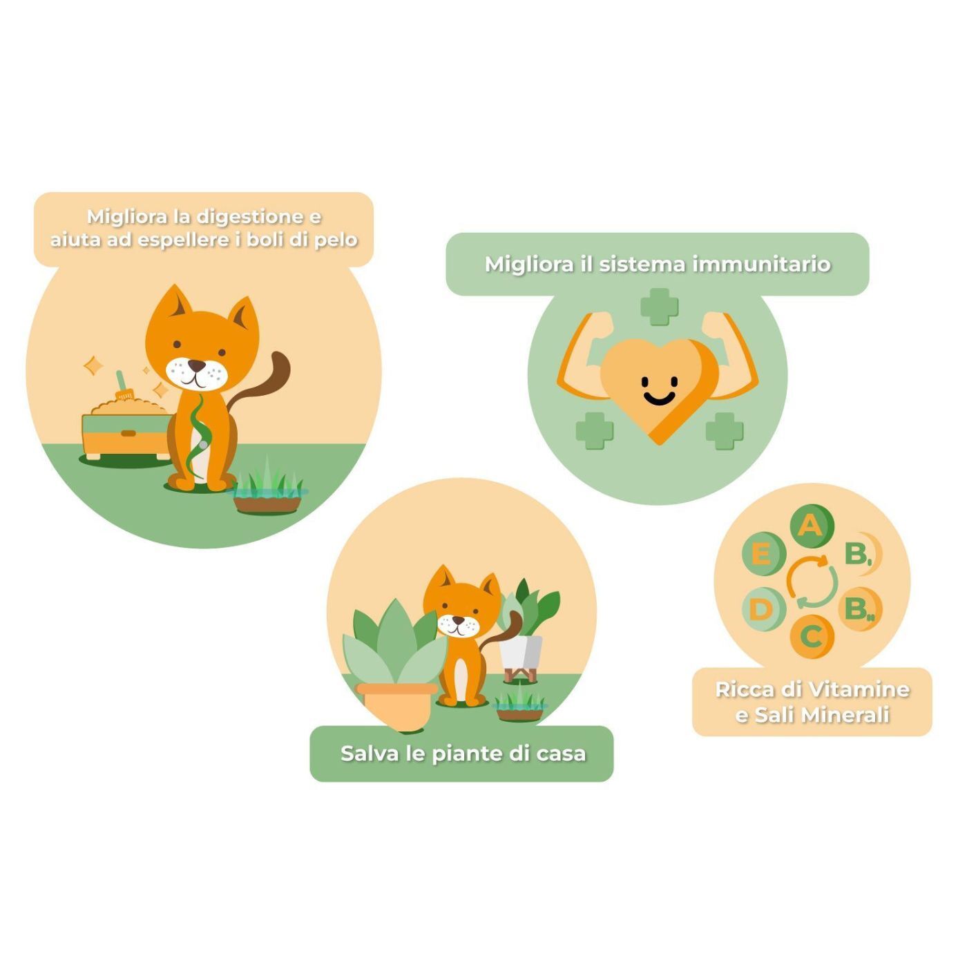 Erba Piu' Cococat Terriccio e Semi di Erba per Gatti