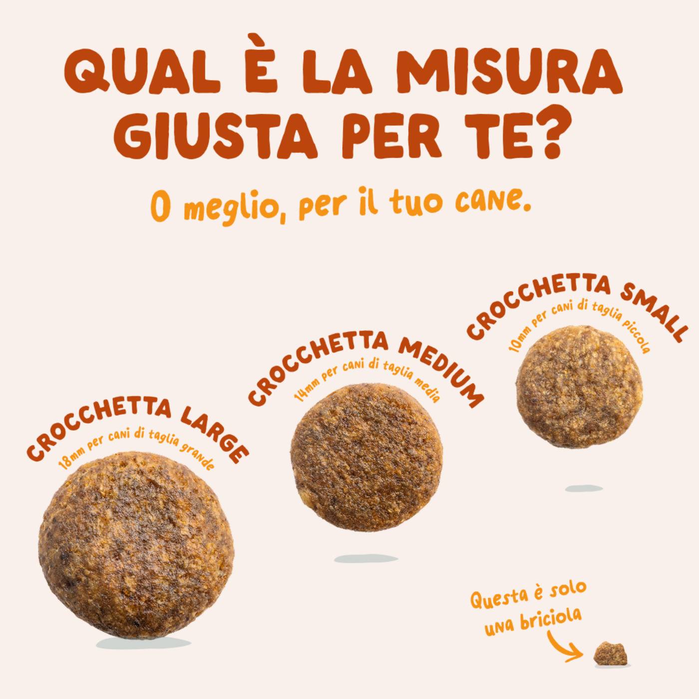 Edgard & Cooper Crocchette Vegetali per Cani Adulti Carote e Zucchine Croccanti