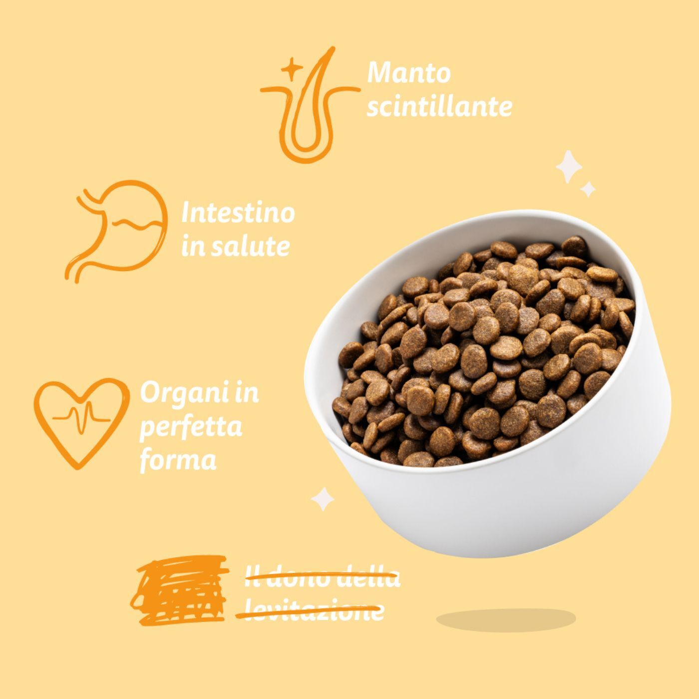 Edgard & Cooper Crocchette Vegetali per Cani Adulti Carote e Zucchine Croccanti