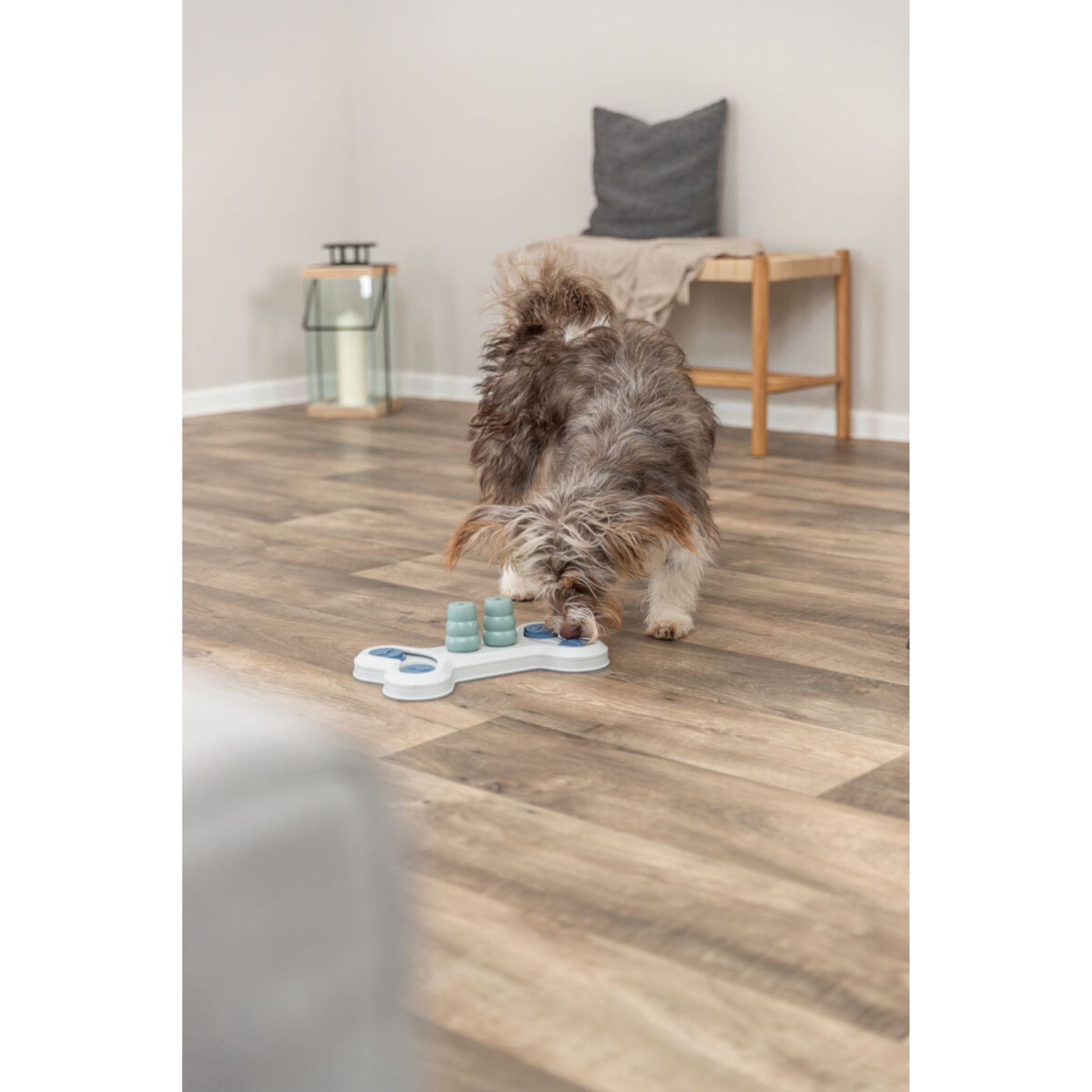 trixie gioco interattivo per cani activity flip bone livello 1 32 x 18 cm
