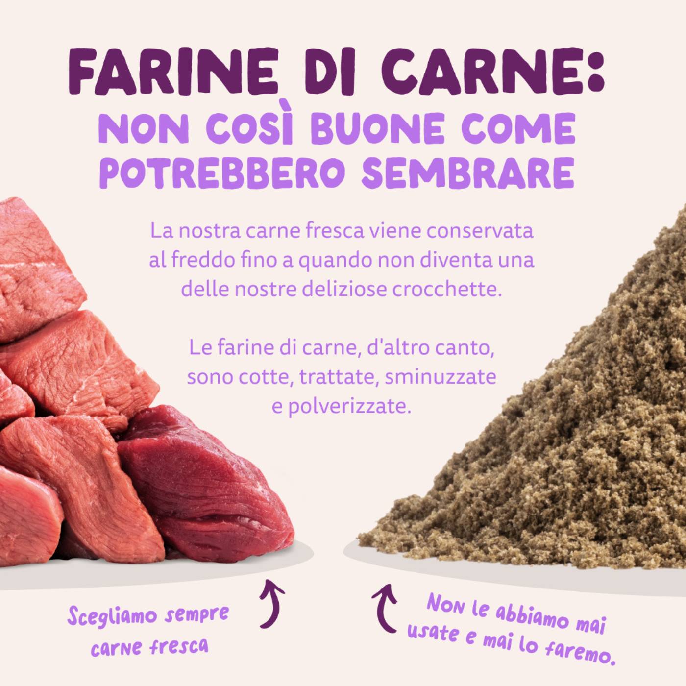 edgard & cooper salmone fresco dell'atlantico e tacchino per cuccioli puppy